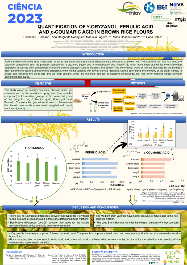 2023-CINCIA_Rice_oryzanol_ferulic_p-coumaric.png