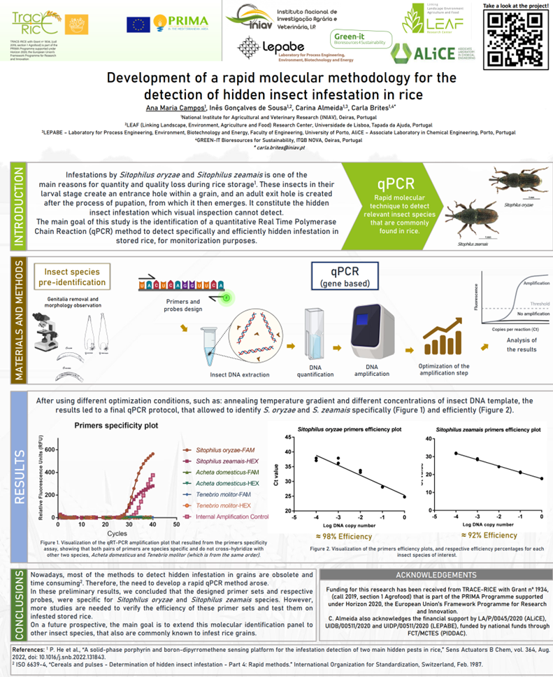 2023-PRIMA_Seminar_Detection_of_hidden_insect.png