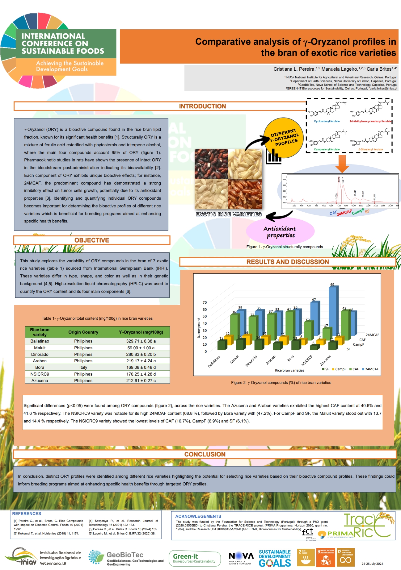 2024-Poster_Cris_ICSF.jpeg