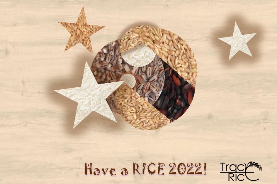 TRACE-RICE_postal_Natal2.jpg