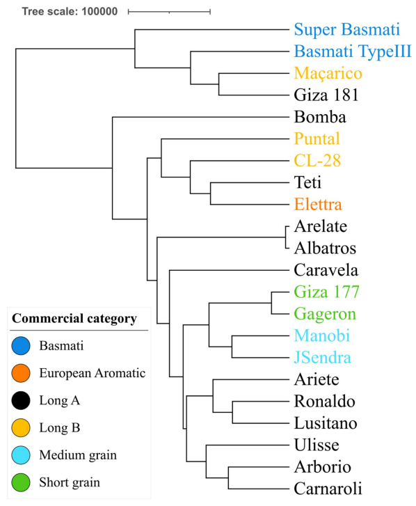 Fig Article Whole genome